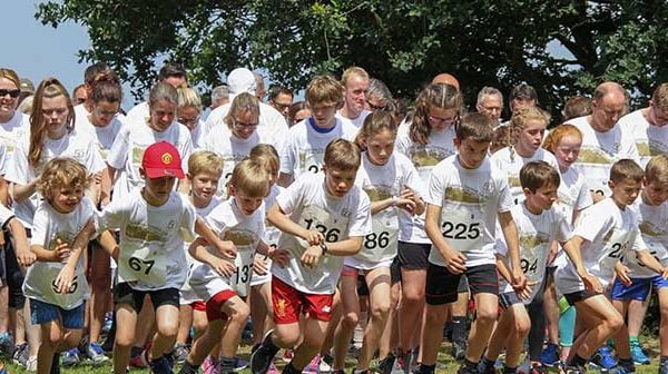 festival in the park